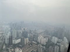 -上海柏悦酒店