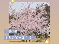 -西安青龙寺遗址景区