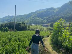 -将军关探险漂流