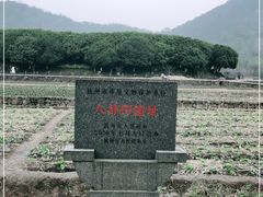-八卦田遗址公园