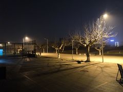 -日照职业技术学院