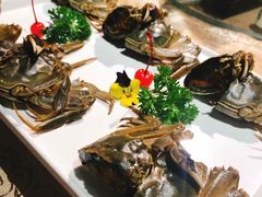 -金海湾海鲜总店