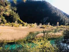 -黄龙山原始森林景区