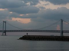 -星海湾跨海大桥