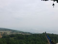 -铁山坪森林公园