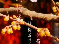 -国家植物园