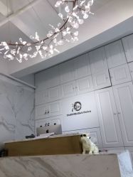 -潘多拉Hairsalon