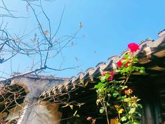 -尚贤河湿地
