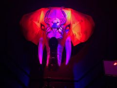 -疯克大象美式烤肉餐厅