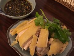 -九斤黄三黄鸡专卖店