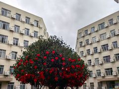 -西南交通大学(九里校区)