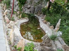 -双新垂钓园