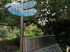 -九龙公园