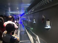 -白鹤梁水下博物馆