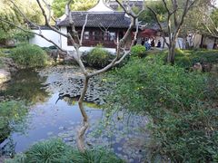 -上海醉白池公园