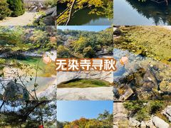 -无染寺