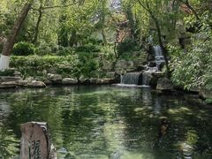 -趵突泉景区