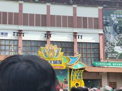 -西双版纳原始森林公园