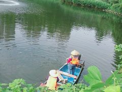 -重庆彩云湖湿地公园