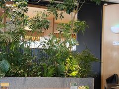 -gaga(深圳福田星河COCO Park店)