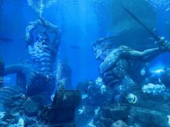 -哈尔滨波塞冬海底世界