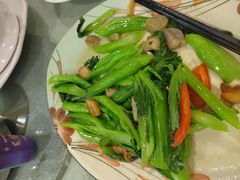 -姚林轩
