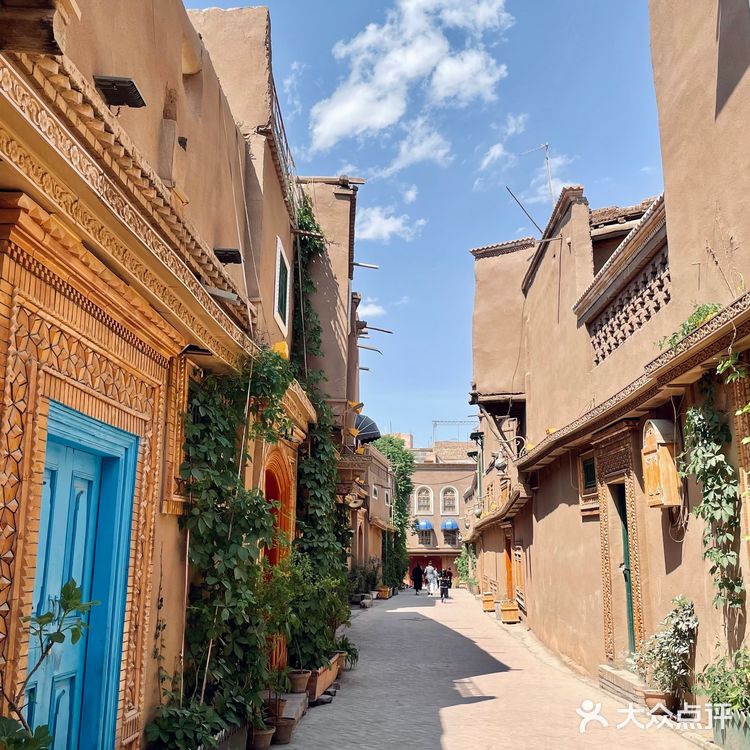 喀什古城桑椹熟啦❗️不要钱吃到饱❗️❗️