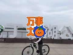 -丁香湖公园