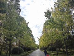-黄陂区野村谷景区