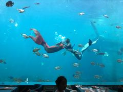 -瑞德姆美人鱼海底演艺主题餐厅(亚龙湾店)