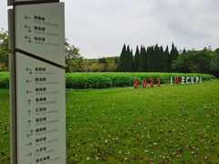 -华东政法大学(松江校区)