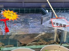 -永红源啤酒·烧烤·海鲜·大排档(台柳路店)