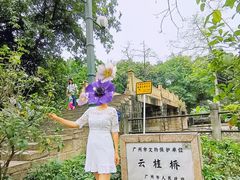 -晓港公园