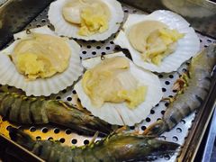 -熊出没日本烧肉放题