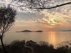 -上海市保健医疗中心