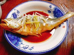 -天鹅到家·保姆月嫂育儿嫂(总店)