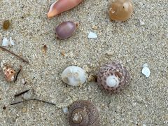 -惠州金海湾嘉华度假酒店