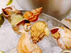 -长春高新益田福朋喜来登酒店·宜客乐标帜餐厅