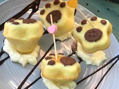 -喵屿·大理花园猫咖