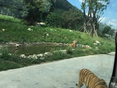 -西安秦岭野生动物园