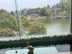 -仙林宾馆-餐厅