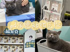 -pd派德宠物中心医院24H急重症·眼科中心·血液透析中心(嵩山北路店)