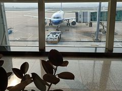 -威海大水泊国际机场