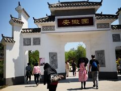 -武清南湖绿博园