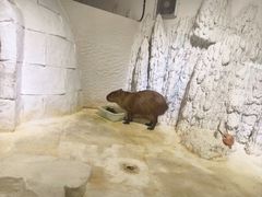 -重庆欢乐海底世界