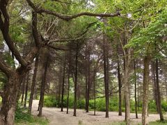 -长春市南湖公园