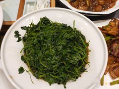 酒香金花菜-老东吴食府(雅都店)