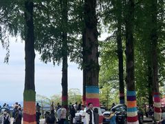 -莫干山风景区