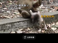-昆明动物园