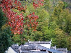 -塔川景区